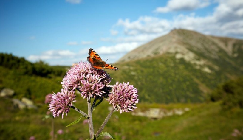 HOTEL HORIZONT Pec pod Sněžkou